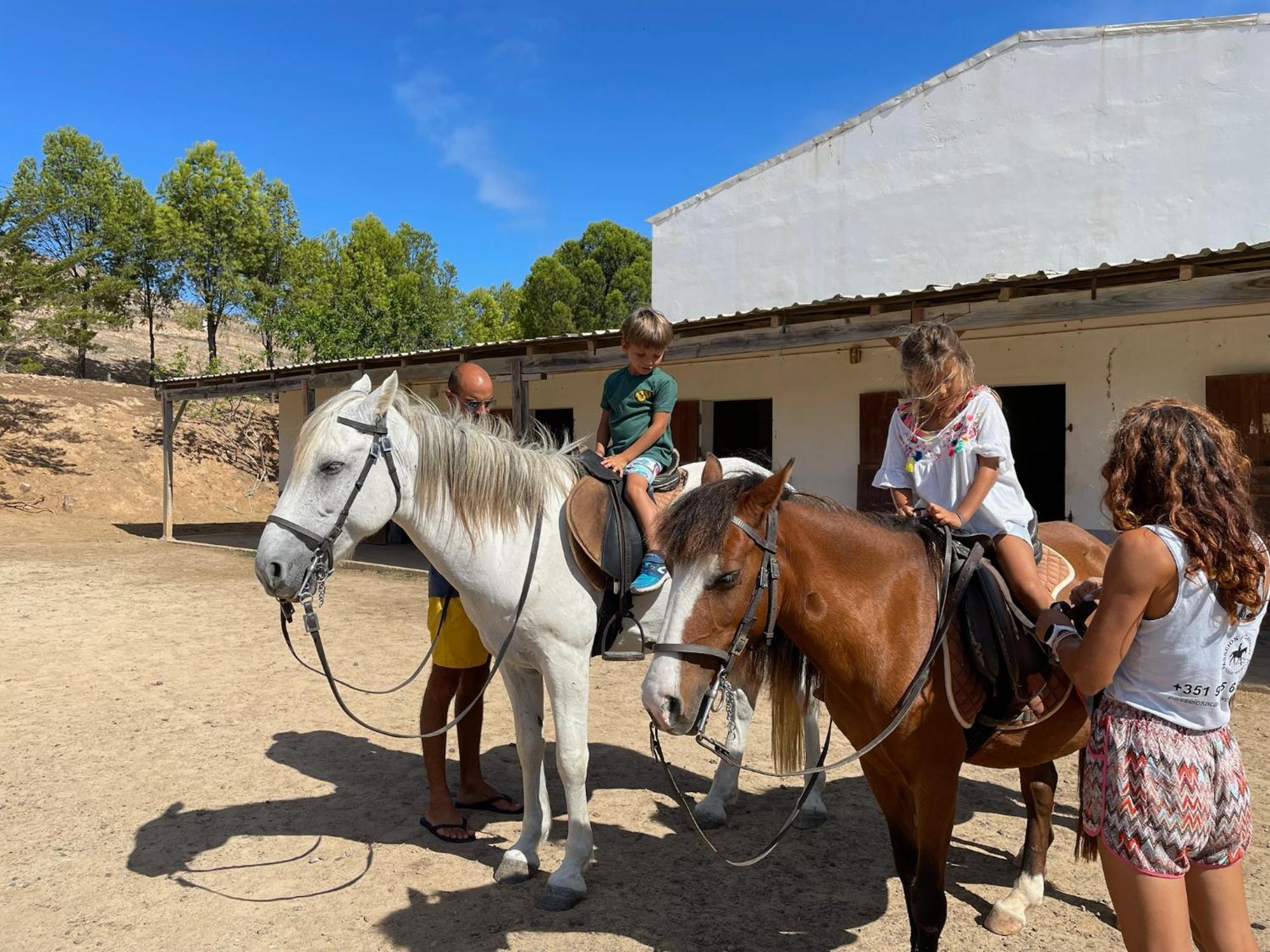 Profetas Guesthouse Porto Santo Zewnętrze zdjęcie