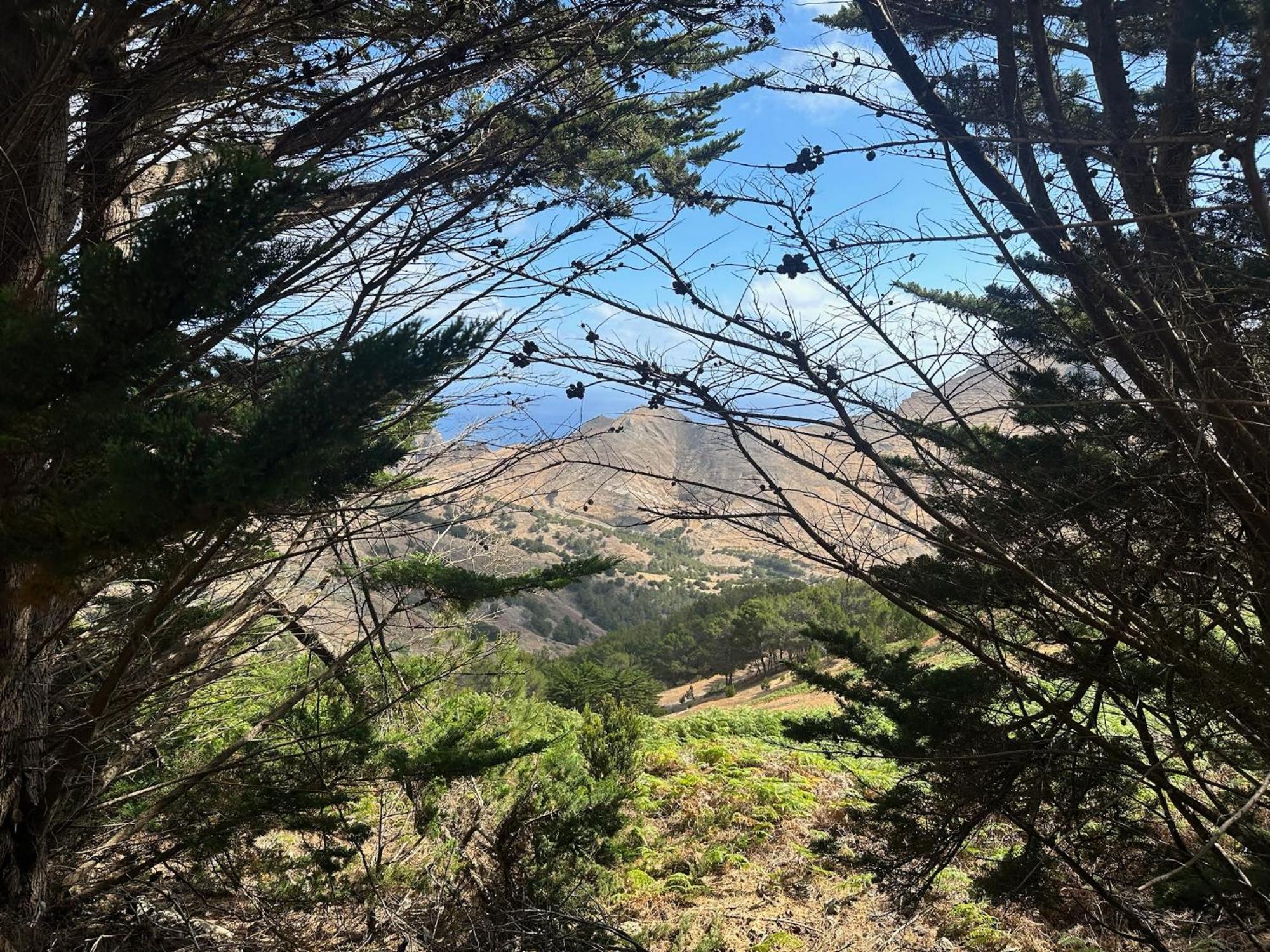 Profetas Guesthouse Porto Santo Zewnętrze zdjęcie